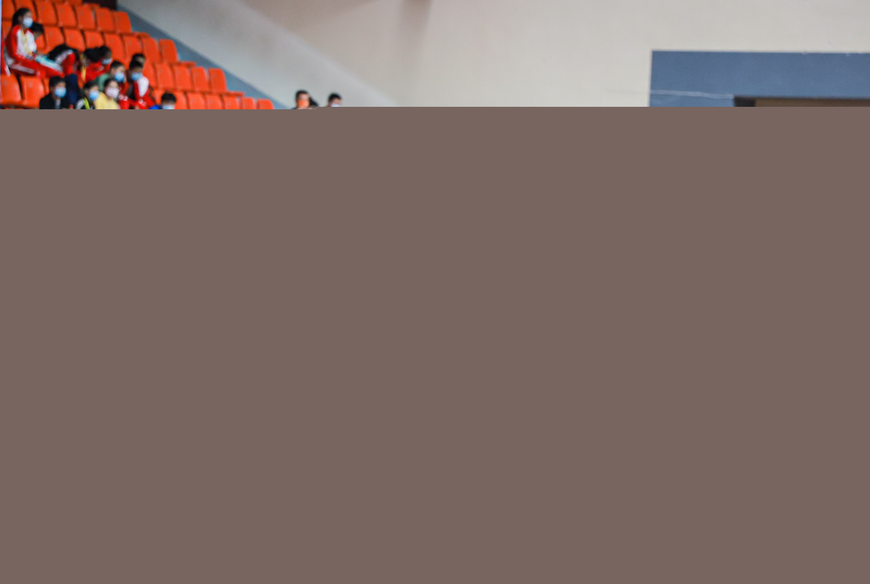 高乔所处的 高乔所处的